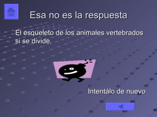 Esa no es la respuesta
El esqueleto de los animales vertebrados
si se divide.




                      Intentálo de nuevo
 