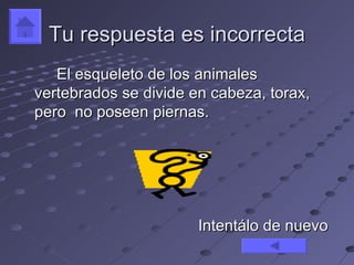 Tu respuesta es incorrecta
   El esqueleto de los animales
vertebrados se divide en cabeza, torax,
pero no poseen piernas.




                       Intentálo de nuevo
 