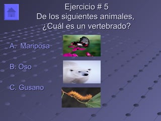 Ejercicio # 5
         De los siguientes animales,
          ¿Cuál es un vertebrado?

A. Mariposa

B. Oso

C. Gusano
 