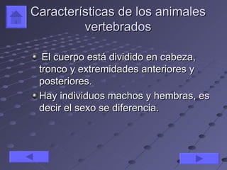 Características de los animales
         vertebrados

  El cuerpo está dividido en cabeza,
 tronco y extremidades anteriores y
 posteriores.
 Hay individuos machos y hembras, es
 decir el sexo se diferencia.
 
