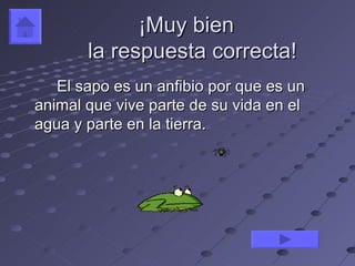 ¡Muy bien
       la respuesta correcta!
   El sapo es un anfibio por que es un
animal que vive parte de su vida en el
agua y parte en la tierra.
 