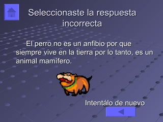 Seleccionaste la respuesta
           incorrecta

   El perro no es un anfibio por que
siempre vive en la tierra por lo tanto, es un
animal mamífero.




                      Intentálo de nuevo
 