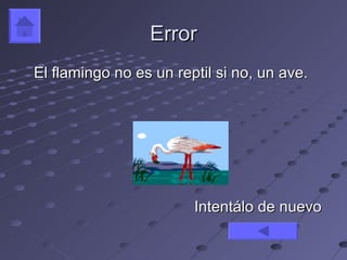 Error
El flamingo no es un reptil si no, un ave.




                        Intentálo de nuevo
 