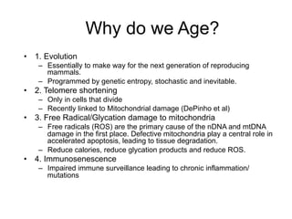 Why do we Age?
•  1. Evolution
–  Essentially to make way for the next generation of reproducing
mammals.
–  Programmed by genetic entropy, stochastic and inevitable.
•  2. Telomere shortening
–  Only in cells that divide
–  Recently linked to Mitochondrial damage (DePinho et al)
•  3. Free Radical/Glycation damage to mitochondria
–  Free radicals (ROS) are the primary cause of the nDNA and mtDNA
damage in the first place. Defective mitochondria play a central role in
accelerated apoptosis, leading to tissue degradation.
–  Reduce calories, reduce glycation products and reduce ROS.
•  4. Immunosenescence
–  Impaired immune surveillance leading to chronic inflammation/
mutations
 
