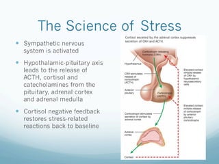 The Science of Stress
!  Sympathetic nervous
system is activated
!  Hypothalamic-pituitary axis
leads to the release of
ACTH, cortisol and
catecholamines from the
pituitary, adrenal cortex
and adrenal medulla
!  Cortisol negative feedback
restores stress-related
reactions back to baseline
 