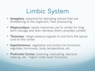 Limbic System
!  Amygdala: essential for decoding stimuli that are
threatening to the organism; Fear processing
!  Hippocampus: sends memories out to cortex for long-
term storage and then retrieves them; provides context
!  Thalamus: relays sensory signals to and from the spinal
cord to the cortex
!  Hypothalamus: vegetative and endocrine functions;
regulates hormones, body temperature, etc
!  Prefrontal Cortex: planning, evaluating, decision
making, etc - higher order brain functions
 