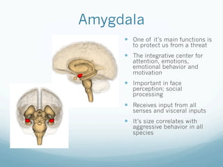 Amygdala
!  One of it’s main functions is
to protect us from a threat
!  The integrative center for
attention, emotions,
emotional behavior and
motivation
!  Important in face
perception; social
processing
!  Receives input from all
senses and visceral inputs
!  It’s size correlates with
aggressive behavior in all
species
 