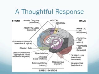 A Thoughtful Response
 