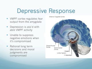 Depressive Response
!  VMPF cortex regulates fear
output from the amygdala
!  Depression is ass’d with
abnl VMPF activity
!  Unable to suppress
negative emotions when
it’s compromised
!  Rational long term
decisions and moral
judgments are
compromised
Anterior Cingulate Cortex
Limbic System
Orbital Frontal
Cortex Ventromedial
Cortex
 