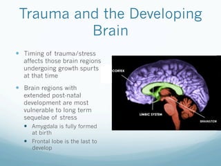 Trauma and the Developing
Brain
!  Timing of trauma/stress
affects those brain regions
undergoing growth spurts
at that time
!  Brain regions with
extended post-natal
development are most
vulnerable to long term
sequelae of stress
!  Amygdala is fully formed
at birth
!  Frontal lobe is the last to
develop
BRAINSTEM
 