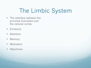 The Limbic System
!  The interface between the
primitive brainstem and
the rational cortex
!  Emotions
!  Attention
!  Memory
!  Motivation
!  Attachmen
 
