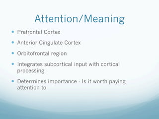 Attention/Meaning
!  Prefrontal Cortex
!  Anterior Cingulate Cortex
!  Orbitofrontal region
!  Integrates subcortical input with cortical
processing
!  Determines importance - Is it worth paying
attention to
 