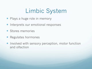 Limbic System
!  Plays a huge role in memory
!  Interprets our emotional responses
!  Stores memories
!  Regulates hormones
!  Involved with sensory perception, motor function
and olfaction
 