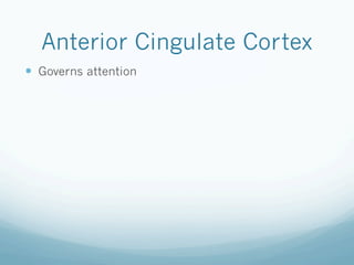 Anterior Cingulate Cortex
!  Governs attention
 