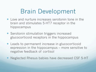 Brain Development
!  Love and nurture increases serotonin tone in the
brain and stimulates 5-HT7 receptor in the
hippocampus
!  Serotonin stimulation triggers increased
glucocorticoid receptors in the hippocampus
!  Leads to permanent increase in glucocorticoid
expression in the hippocampus – more sensitive to
negative feedback of cortisol
!  Neglected Rhesus babies have decreased CSF 5-HT
 