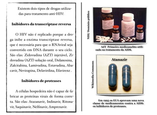 ! Existem dois tipos de drogas utiliza-
das para tratamento anti-HIV:
Inibidores da transcriptase reversa
"
" O HIV não é replicado porque a dro-
ga inibe a enzima transcriptase reversa,
que é necessária para que o RNAviral seja
convertido em DNA durante o seu ciclo.
São elas: Zidovudina (AZT) injetável, Zi-
dovudina (AZT) solução oral, Didanosina,
Zalcitabina, Lamivudina, Estavudina, Aba-
cavir, Nevirapina, Delavirdina, Efavirenz .
Inibidores de proteases
" A células hospedeira não é capaz de fa-
bricar as proteínas virais de forma corre-
ta. São elas: Atazanavir, Indinavir, Ritona-
vir, Saquinavir, Nelﬁnavir, Amprenavir.
NIH/Domíniopúblico
AZT Primeiro medicamebto utili-
zado no tratamento da AIDS.
Em 1995 os EUA aprovam uma nova
classe de medicamentos contra a AIDS:
os inibidores de proteases.
WikimediaCommons
Atanazir
 