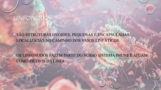 LINFONODOS
 SÃO ESTRUTURAS OVOIDES, PEQUENAS E ENCAPSULADAS,
LOCALIZADAS NO CAMINHO DOS VASOS LINFÁTICOS.
 OS LINFONODOS FAZEM PARTE DO NOSSO SISTEMA IMUNE E ATUAM
COMO FILTROS DA LINFA.
 