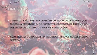 LINFÓCITOS
 LINFÓCITOS SÃO UM TIPO DE GLÓBULO BRANCO DO SANGUE QUE
PRODUZ ANTICORPOS PARA COMBATER ORGANISMOS ESTRANHOS,
DEFENDENDO O CORPO DE POSSÍVEIS INFECÇÕES
 SÃO CÉLULAS QUE PODEM VIVER DURANTES ANOS OU ATE MESMO
DÉCADAS.
 