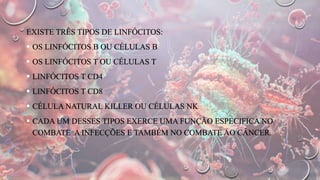 EXISTE TRÊS TIPOS DE LINFÓCITOS:
 OS LINFÓCITOS B OU CÉLULAS B
 OS LINFÓCITOS T OU CÉLULAS T
 LINFÓCITOS T CD4
 LINFÓCITOS T CD8
 CÉLULA NATURAL KILLER OU CÉLULAS NK
 CADA UM DESSES TIPOS EXERCE UMA FUNÇÃO ESPECIFICA NO
COMBATE A INFECÇÕES E TAMBÉM NO COMBATE AO CÂNCER.
 