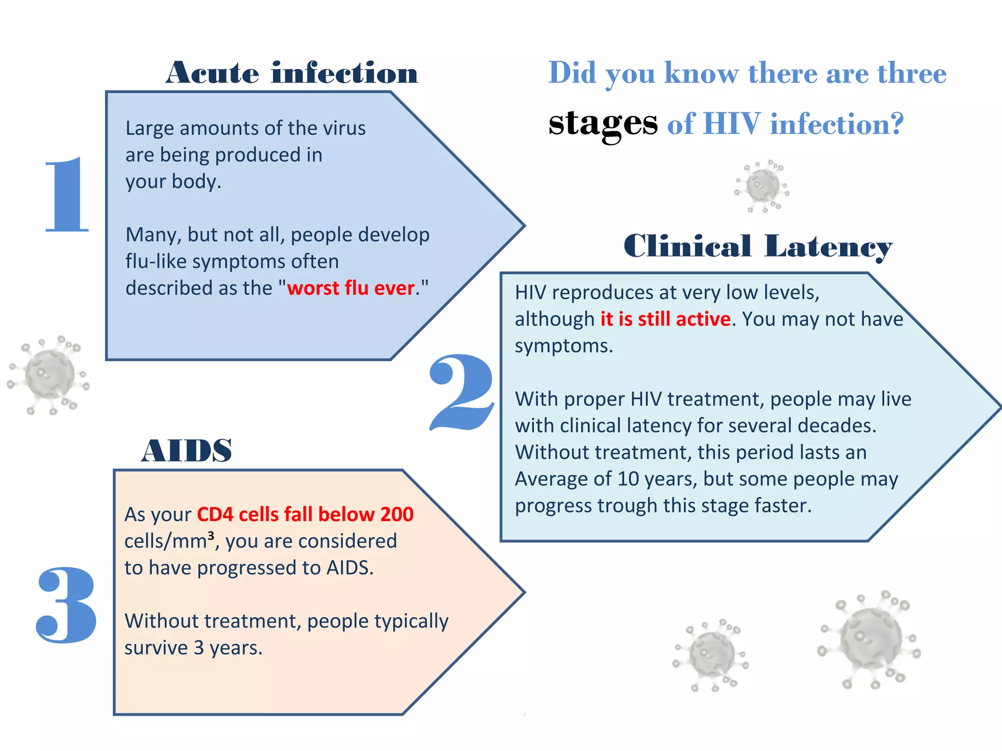1 
Many, but not all, people develop 
flu-like symptoms often 
described as the "worst flu ever." HIV reproduces at very low levels, 
2 
3 
Did you know there are three 
stages of HIV infection? 
Acute infection 
Clinical Latency 
Large amounts of the virus 
are being produced in 
your body. 
AIDS 
although it is still active. You may not have 
symptoms. 
With proper HIV treatment, people may live 
with clinical latency for several decades. 
Without treatment, this period lasts an 
Average of 10 years, but some people may 
progress trough As your CD4 cells fall below 200 this stage faster. 
cells/mm³, you are considered 
to have progressed to AIDS. 
Without treatment, people typically 
survive 3 years. 
 