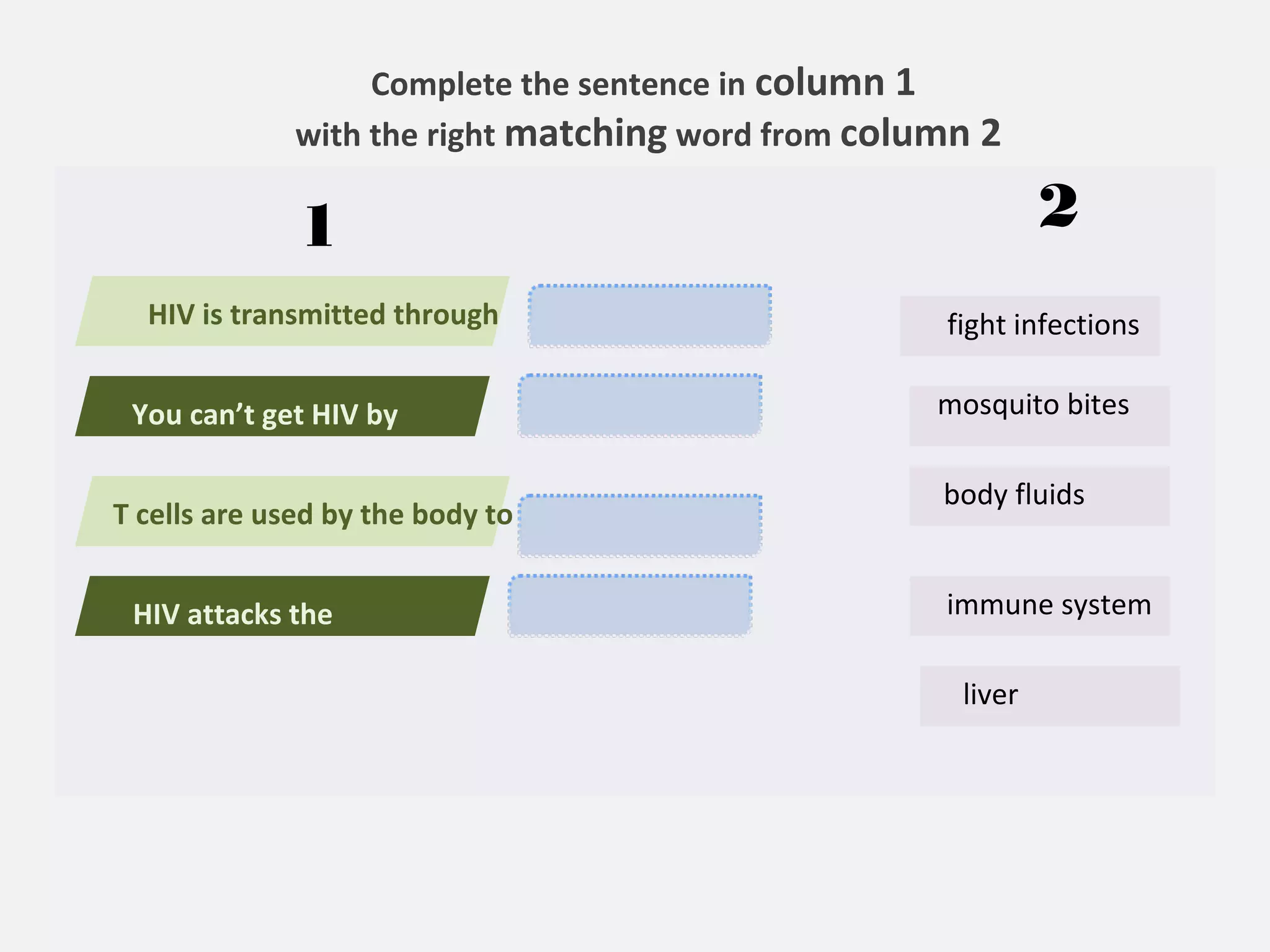 HIV is transmitted through 
fight infections 
mosquito bites 
body fluids 
1 
immune system 
Complete the sentence in column 1 
with the right matching word from column 2 
You can’t get HIV by 
T cells are used by the body to 
HIV attacks the 
liver 
2 
 