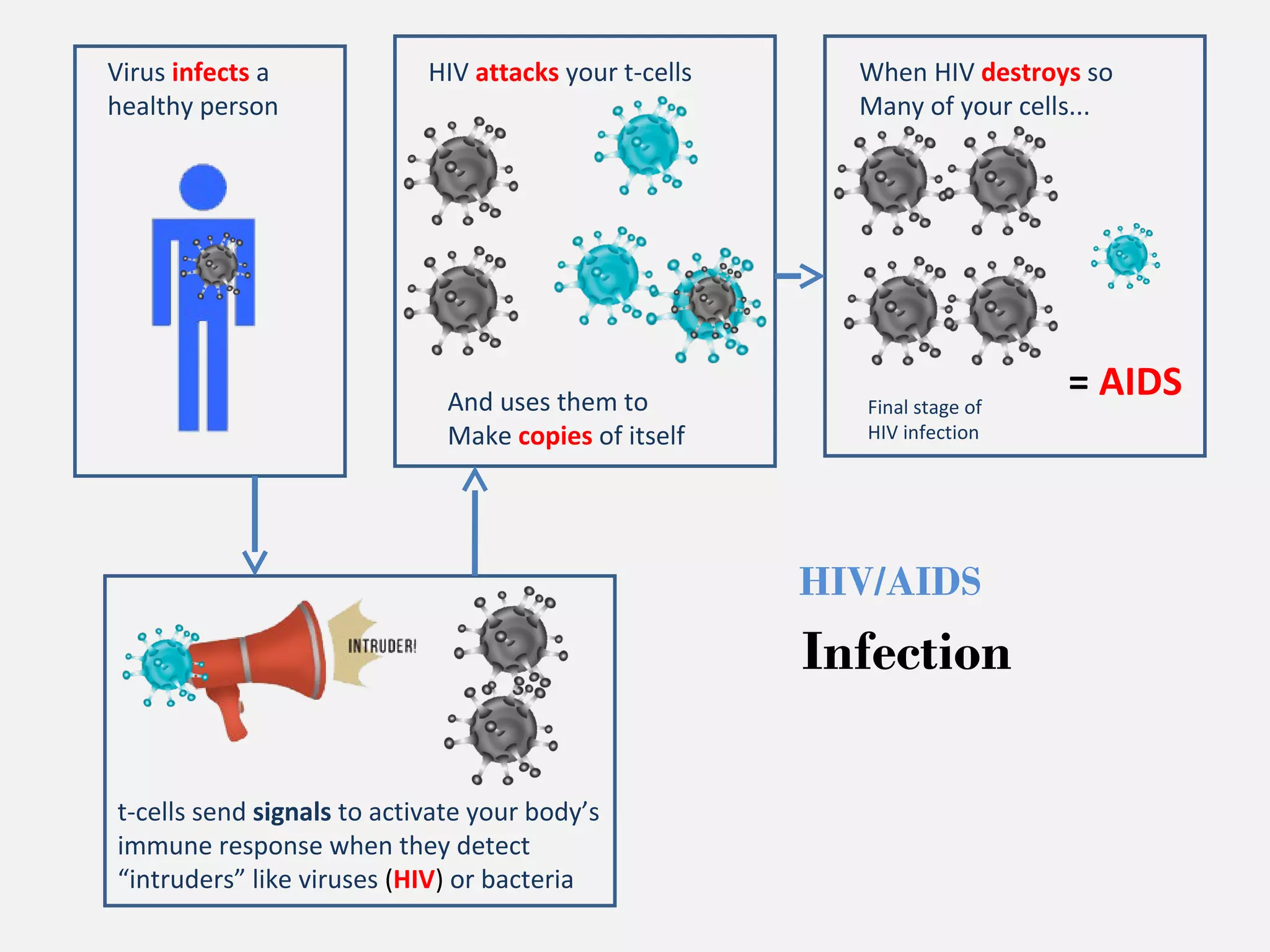 HIV attacks your t-cells 
And uses them to 
Make copies of itself 
When HIV destroys so 
Many of your cells... 
= AIDS 
Virus infects a 
healthy person 
t-cells send signals to activate your body’s 
immune response when they detect 
“intruders” like viruses (HIV) or bacteria 
Final stage of 
HIV infection 
HIV/AIDS 
Infection 
 