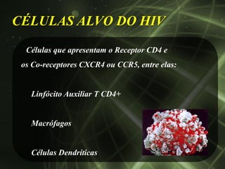 CÉLULAS ALVO DO HIV
  Células que apresentam o Receptor CD4 e
 os Co-receptores CXCR4 ou CCR5, entre elas:


   Linfócito Auxiliar T CD4+


   Macrófagos


   Células Dendríticas
 