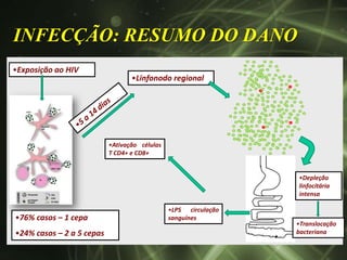 INFECÇÃO: RESUMO DO DANO
•Exposição ao HIV
                                  •Linfonodo regional




                           •Ativação células
                           T CD4+ e CD8+


                                                                 •Depleção
                                                                 linfocitária
                                                                 intensa

                                               •LPS circulação
•76% casos – 1 cepa                            sanguínes
                                                                 •Translocação
•24% casos – 2 a 5 cepas                                         bacteriana
 