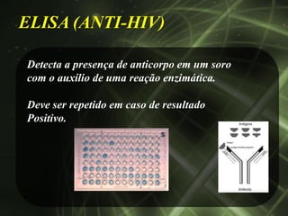 ELISA (ANTI-HIV)

Detecta a presença de anticorpo em um soro
com o auxílio de uma reação enzimática.

Deve ser repetido em caso de resultado
Positivo.
 