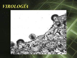 VIROLOGIA
 