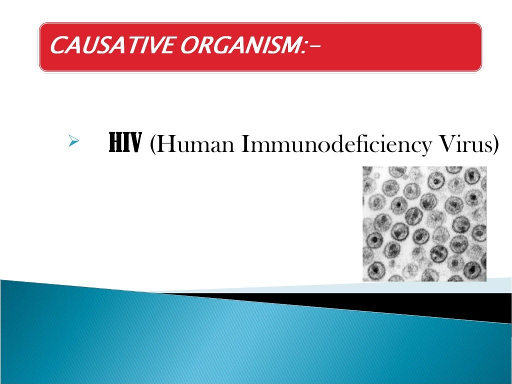 Ppt On Aids ppt-on-aids