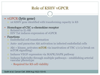 Role of KSHV vGPCR
 vGPCR (lytic gene)
 1st KSHV gene identified with transforming capacity in KS
 Homologue of CXC α-chemokine receptor
 Related to IL-8R
 HIV Tat induces expression of vGPCR
 Functions
 Endothelial cell transformation
 Auto- and paracrine Akt activation in infected endothelial cells
 Akt = kinase, activates mTOR via inactivation of TSC 1/2 (a break on
mTOR signalling)
 Induces VEGF expression via MAPK/SAPK pathway
 Induces EphrinB2 through multiple pathways - establishing arterial
vascular phenotype
 Required for KS cell viability
Sodhi et al. Cancer Cell. 2006 Aug;10(2):133-43.
 