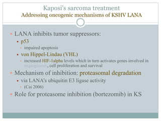 Kaposi’s sarcoma treatment
Addressing oncogenic mechanisms of KSHV LANA
 LANA inhibits tumor suppressors:
 p53
 impaired apoptosis
 von Hippel-Lindau (VHL)
 increased HIF-1alpha levels which in turn activates genes involved in
angiogenesis, cell proliferation and survival
 Mechanism of inhibition: proteasomal degradation
 via LANA’s ubiquitin E3 ligase activity
 (Cai 2006)
 Role for proteasome inhibition (bortezomib) in KS
 
