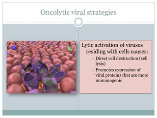 Oncolytic viral strategies
Lytic activation of viruses
residing with cells causes:
 Direct cell destruction (cell
lysis)
 Promotes expression of
viral proteins that are more
immunogenic
 