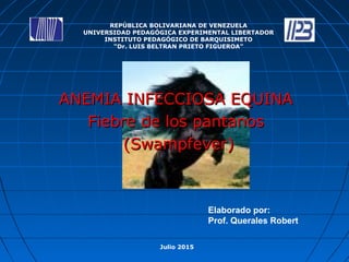 ANEMIA INFECCIOSA EQUINAANEMIA INFECCIOSA EQUINA
Fiebre de los pantanosFiebre de los pantanos
(Swampfever)(Swampfever)
REPÚBLICA BOLIVARIANA DE VENEZUELA
UNIVERSIDAD PEDAGÓGICA EXPERIMENTAL LIBERTADOR
INSTITUTO PEDAGÓGICO DE BARQUISIMETO
“Dr. LUIS BELTRAN PRIETO FIGUEROA”
Julio 2015
Elaborado por:
Prof. Querales Robert
 