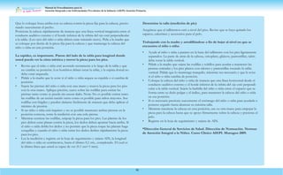 Manual de Procedimientos para la
Atención Integrada a las Enfermedades Prevalentes de la Infancia (AIEPI) Atención Primaria.
90
Que lo coloque boca arriba con su cabeza contra la pieza fija para la cabeza, presio-
nando suavemente el pecho.
Posicione la cabeza rápidamente de manera que una línea vertical imaginaria entre el
conducto auditivo externo y el borde inferior de la órbita del ojo esté perpendicular
a la tabla. (Los ojos del niño o niña deben estar mirando recto). Pida a la madre que
se coloque por detrás de la pieza fija para la cabeza y que mantenga la cabeza del
niño o niña en esta posición.
La rapidez, es importante. Párese del lado de la tabla para longitud donde
usted pueda ver la cinta métrica y mover la pieza para los pies.
Determine la talla (medición de pie)
• Revise que el niño o niña esté acostado rectamente a lo largo de la tabla y que
no cambie su posición. Los hombros deben tocar la tabla, y la espina dorsal no
debe estar arqueada.
• Pídale a la madre que le avise si el niño o niña arquea su espalda o si cambia de
posición.
• Sujete las piernas del niño o niña con una mano y mueva la pieza para los pies
con la otra mano. Aplique presión, suave sobre las rodillas para estirar las
piernas tanto como se pueda sin causar daño. Nota: No es posible estirar tanto
las rodillas de un recién nacido tanto como es posible para niños mayores. Sus
rodillas son frágiles y pueden dañarse fácilmente de manera que debe aplicar el
mínimo de presión.
• Si un niño o niña está inquieto y no es posible mantener ambas piernas en la
posición correcta, tome la medición con una sola pierna.
• Mientras sostiene las rodillas, empuje la pieza para los pies. Las plantas de los
pies deben estar planas contra la pieza, los dedos deben apuntar hacia arriba. Si
el niño o niña dobla los dedos y no permite que la pieza toque las plantas haga
cosquillas y cuando el niño o niña estire los dedos deslice rápidamente la pieza
para los pies.
• Lea la medición y registre en la hoja de seguimiento y tarjeta AIN, la longitud
del niño o niña en centímetros, hasta el último 0,1 cm., completado. El cual es
la última línea que usted es capaz de ver (0.1 cm=1 mm).
Asegúrese que el tallimetros esté a nivel del piso. Revise que se haya quitado los
zapatos, calcetines y accesorios para el pelo.
Trabajando con la madre y arrodillándose a fin de bajar al nivel en que se
encuentra el niño o niña:
• Ayude al niño o niña a pararse en la base del tallímetro con los pies ligeramente
separados. La parte de atrás de la cabeza, omoplato, glúteos, pantorrillas, talón
debe tocar la tabla vertical.
• Pídale a la madre que sujete las rodillas y tobillos para ayudar a mantener las
piernas estiradas y los pies planos con talones y pantorrillas tocando la tabla
vertical. Pídale que lo mantenga tranquilo, mientras sea necesario y que le avise
si el niño o niña cambia de posición.
• Coloque la cabeza del niño o niña de manera que una línea horizontal desde el
conducto auditivo externo y el borde inferior de la órbita del ojo esté perpendi-
cular a la tabla vertical. Sujete la barbilla del niño o niña entre el espacio que se
forma entre su dedo pulgar y el índice, para mantener la cabeza del niño o niña
en esa posición.
• Si es necesario presione suavemente el estómago del niño o niña para ayudarle a
ponerse erguido hasta alcanzar su máxima talla.
• Mientras mantiene la cabeza en esta posición, use su otra mano para empujar la
pieza para la cabeza hasta que se apoye firmemente sobre la cabeza y presione el
pelo.
• Registre en la hoja de seguimiento y tarjeta de AIN.
*Dirección General de Servicios de Salud. Dirección de Normación. Normas
de Atención Integral a la Niñez. Curso Clínico AIEPI. Managua 2009.
 