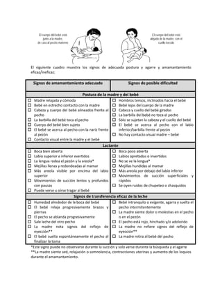 El siguiente cuadro muestra los signos de adecuada postura y agarre y amamantamiento
eficaz/ineficaz:
Signos de amamantamiento adecuado Signos de posible dificultad
Postura de la madre y del bebé
 Madre relajada y cómoda
 Bebé en estrecho contacto con la madre
 Cabeza y cuerpo del bebé alineados frente al
pecho
 La barbilla del bebé toca el pecho
 Cuerpo del bebé bien sujeto
 El bebé se acerca al pecho con la nariz frente
al pezón
 Contacto visual entre la madre y el bebé
 Hombros tensos, inclinados hacía el bebé
 Bebé lejos del cuerpo de la madre
 Cabeza y cuello del bebé girados
 La barbilla del bebé no toca el pecho
 Sólo se sujetan la cabeza y el cuello del bebé
 El bebé se acerca al pecho con el labio
inferior/barbilla frente al pezón
 No hay contacto visual madre – bebé
Lactante
 Boca bien abierta
 Labio superior e inferior evertidos
 La lengua rodea el pezón y la areola*
 Mejillas llenas y redondeadas al mamar
 Más areola visible por encima del labio
superior
 Movimientos de succión lentos y profundos
con pausas
 Puede verse u oírse tragar al bebé
 Boca poco abierta
 Labios apretados o invertidos
 No se ve la lengua*
 Mejillas hundidas al mamar
 Más areola por debajo del labio inferior
 Movimientos de succión superficiales y
rápidos
 Se oyen ruidos de chupeteo o chasquidos
Signos de transferencia eficaz de la leche
 Humedad alrededor de la boca del bebé
 El bebé relaja progresivamente brazos y
piernas
 El pecho se ablanda progresivamente
 Sale leche del otro pecho
 La madre nota signos del reflejo de
eyección**
 El bebé suelta espontáneamente el pecho al
finalizar la toma
 Bebé intranquilo o exigente, agarra y suelta el
pecho intermitentemente
 La madre siente dolor o molestias en el pecho
o en el pezón
 El pecho está rojo, hinchado y/o adolorido
 La madre no refiere signos del reflejo de
eyección**
 La madre retira al bebé del pecho
*Este signo puede no observarse durante la succión y solo verse durante la búsqueda y el agarre
**La madre siente sed, relajación o somnolencia, contracciones uterinas y aumento de los loquios
durante el amamantamiento.
El cuerpo del bebé está
junto a la madre,
de cara al pecho materno
El cuerpo del bebé está
alejado de la madre, con el
cuello torcido
 