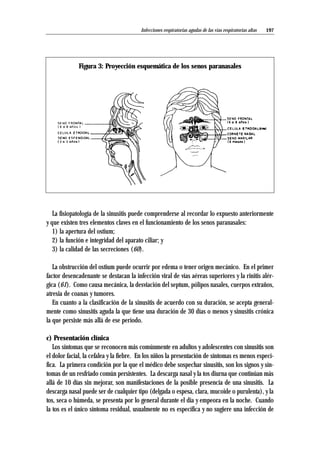 197
La fisiopatología de la sinusitis puede comprenderse al recordar lo expuesto anteriormente
y que existen tres elementos claves en el funcionamiento de los senos paranasales:
1) la apertura del ostium;
2) la función e integridad del aparato ciliar; y
3) la calidad de las secreciones (60).
La obstrucción del ostium puede ocurrir por edema o tener origen mecánico. En el primer
factor desencadenante se destacan la infección viral de vías aéreas superiores y la rinitis alér-
gica (61). Como causa mecánica, la desviación del septum, pólipos nasales, cuerpos extraños,
atresia de coanas y tumores.
En cuanto a la clasificación de la sinusitis de acuerdo con su duración, se acepta general-
mente como sinusitis aguda la que tiene una duración de 30 días o menos y sinusitis crónica
la que persiste más allá de ese período.
c) Presentación clínica
Los síntomas que se reconocen más comúnmente en adultos y adolescentes con sinusitis son
el dolor facial, la cefalea y la fiebre. En los niños la presentación de síntomas es menos especí-
fica. La primera condición por la que el médico debe sospechar sinusitis, son los signos y sín-
tomas de un resfriado común persistentes. La descarga nasal y la tos diurna que continúan más
allá de 10 días sin mejorar, son manifestaciones de la posible presencia de una sinusitis. La
descarga nasal puede ser de cualquier tipo (delgada o espesa, clara, mucoide o purulenta), y la
tos, seca o húmeda, se presenta por lo general durante el día y empeora en la noche. Cuando
la tos es el único síntoma residual, usualmente no es específica y no sugiere una infección de
Infecciones respiratorias agudas de las vías respiratorias altas
Figura 3: Proyección esquemática de los senos paranasales
 