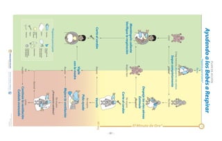 20-00371revB20-00371revB
AyudandoalosBebésaRespirar
PLANDEACCIÓN
Prepáreseparaelparto*
Parto
Sihaymeconio,despejelasvíasaéreas
Sequecompletamente
¿Llora?NolloraLlora
Respirabien
Manténgalocaliente
Verifiquelarespiración
Despejelasvíasaéreas
Estimule
¿Respira?
Norespira
Corteelcordón
VentileRespiraCorteelcordón
Norespira
Pidaayuda
Norespira
¿Frecuenciacardiaca?
MejorelaventilaciónRespira
Normal
Lenta
Continúelaventilación
Cuidadoavanzado
Vigile
conlamadre
No
respira
Cobertura
para
lacabeza
GuantesDispositivode
succión
Paños
Estetoscopio
Tijeras
Ataduras
Cronómetro
(relojdepared
odemuñeca)
Bolsa-máscara
deventilación
*Prepáreseparaelparto
El Minuto de Oro®
®
®
ISBN:978-1-58110-617-6
20-03956RevB
- 81 -
 