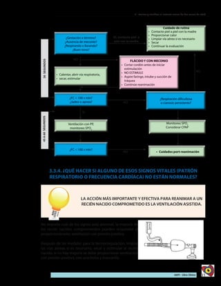 81AIEPI - Libro Clínico
2 - Evaluar y clasificar al lactante menor de dos meses de edad
30SEGUNDOS
Sí, contacto piel a
piel con la madre
NO
NO
NO
NO
45A60SEGUNDOS
SI
3.3.4. ¿QUÉ HACER SI ALGUNO DE ESOS SIGNOS VITALES (PATRÓN
RESPIRATORIO O FRECUENCIA CARDÍACA) NO ESTÁN NORMALES?
LA ACCIÓN MÁS IMPORTANTE Y EFECTIVA PARA REANIMAR A UN
RECIÉN NACIDO COMPROMETIDO ES LA VENTILACIÓN ASISTIDA.
No importa cuál de los signos está anormal, la mayoría de
los recién nacidos comprometidos pueden responder al
proporcionárseles ventilación con presión positiva.
Después de las medidas para la termorregulación, limpiar
las vías aéreas si es necesario, secar y estimular al recién
nacido, si no hay mejoría se debe proporcionar ventilación
con presión positiva, con una bolsa y mascarilla.
 