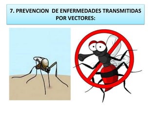 7. PREVENCION DE ENFERMEDADES TRANSMITIDAS
POR VECTORES:
 