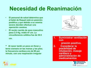Necesidad de Reanimación
• El personal de salud determina que
el bebé de Raquel está en posición
podálica y que debido a su anemia
severa deciden efectuar una
operación cesárea.
• El recién nacido de sexo masculino
peso 2.5 Kg. midió 47 cm. La
circunferencia cefálica fue de 30.5
cm. 1. Suministrar ventilación
con
presión positiva.
2. Considerar la
posibilidad de
intubación, masaje
cardiaco y
administración de
medicamentos
• Al nacer tardó un poco en llorar y
tenía cianosis en las manos y los pies;
la frecuencia cardiaca era de 80 por
minuto, con una respiración irregular
 