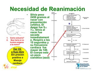 Necesidad de Reanimación
• Silvia peso
2450 gramos al
nacer con
presentación
cefálica. El
Apgar fue 5(1)
7(5). Silvia al
nacer fue
secada
inmediatament
e. Respiro a los
15 segundos y
su frecuencia
cardiaca fue
mayor de 140.
El cuerpo esta
un poco
cianótico (azul).
1. Como actuaría?
2. Que haría si no
tuviera oxigeno
a la mano?
Dar O2
a flujo libre
Sin presión
positiva o
Masaje
cardiaco
Si
 