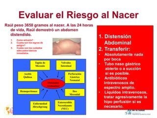 Evaluar el Riesgo al Nacer
Raúl peso 3650 gramos al nacer. A las 24 horas
de vida, Raúl demostró un abdomen
distendido.
1. Como actuaría?
2. Cuales son los signos de
peligro?
3. Cuales son los cuidados
adecuados básicos
inmediatos.
1. Distensión
Abdominal
2. Transferir:
• Absolutamente nada
por boca
• Tubo naso gástrico
abierto o a succión
si es posible.
• Antibióticos
intravenosos de
espectro amplio.
• Líquidos intravenosos,
tratar agresivamente la
hipo perfusión si es
necesario.
Distensión
Abdominal
Hemoperitoneo
Enfermedad
Hirschprung
Enterocolitis
Necrotizante
(NEC)
Ileo
Meconial
Perforación
Gástrica
Neonatal
Volvulos
Intestinal
Tapón de
Meconio
Ascitis
Quilosa
 