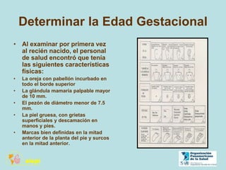 Determinar la Edad Gestacional
• Al examinar por primera vez
al recién nacido, el personal
de salud encontró que tenía
las siguientes características
físicas:
• La oreja con pabellón incurbado en
todo el borde superior
• La glándula mamaria palpable mayor
de 10 mm.
• El pezón de diámetro menor de 7.5
mm.
• La piel gruesa, con grietas
superficiales y descamación en
manos y pies.
• Marcas bien definidas en la mitad
anterior de la planta del pie y surcos
en la mitad anterior.
 