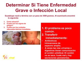 Determinar Si Tiene Enfermedad
Grave o Infección Local
Guadalupe nació a término con un peso de 3500 gramos. Al examinarla encontró
lo siguiente:
1. Como actuaría?
2. Cuales son los signos de
peligro?
3. Cuales son los cuidados
adecuados básicos inmediatos. 1. El problema es poco
común.
2. Transferir
inmediatamente:
• Antibióticos
intravenosos de
espectro amplio.
• A veces las vías urinarias o
digestivas tienen comunicación
el cordón umbilical. El cordón
no se seca, huele mal y hay
secreciones persistentes.
 