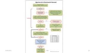 1 min 60-65 %
2 min 65-70%
3 min 70-75%
4 min 75-80%
5 min 80-85%
10 min 85-96%
© 2015 American Heart Associatión
1 minuto
Sat O2 Preductal
Algoritmo de la Reanimación Neonatal
Preparación antenatal
Coordinación en equipo y chequeo de materiales
Nacimiento
¿GESTACIÓN ATÉRMINO?
¿BUEN TONO MUSCULAR?
¿RESPIRAO LLORA?
Calentar y matener la temperatura normal,
posicionar, mantener la vía aérea abierta (aspirar
secreción si es necesario), secar y estimular
¿APNEA O GASPING?
¿FC < 100 LPM?
VPP
Monitor de SatO2
Considerar monitor de EKG
¿FC < 100 LPM?
Observar movimiento torácico
Corregir los pasos de ventilación si es necesario
Intubación ET o máscara laringea si es necesario
¿FC < 60 LPM?
Intubar si es que no se realizó
Masajecardiaco externo
coordinadascon VPP
O2 al 100%
Considerar cateterismo umbilical
¿FC < 60 LPM?
Epinefrina endovenosa
Si FC < 60 LPM
Considerar hipovolemia
Considerar neumotórax
Bebé permanece con su madre para
cuidados de rutina: calentary mantener la
temperatura normal, posicionar, limpiar
secreciones si es necesaria, secar y
evaluación continua.
Dificultad para respirar o
cianosis persistente
Posicionar ylimpiarla vía aérea
Monitorde Sat O2
Suplementode O2 si es necesarioConsiderar
CPAP
Cuidados post reanimación
Evaluación en equipo
NO
SI
NO
NO
SI
NO
SI
SI
SI
SI
34
05/05/2021 RMC
 