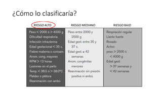 ¿Cómo lo clasificaría?
 