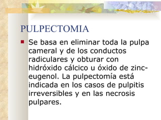 PULPECTOMIA Se basa en eliminar toda la pulpa cameral y de los conductos radiculares y obturar con hidróxido cálcico u óxido de zinc-eugenol. La pulpectomía está indicada en los casos de pulpitis irreversibles y en las necrosis pulpares. 