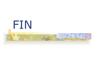 FIN 